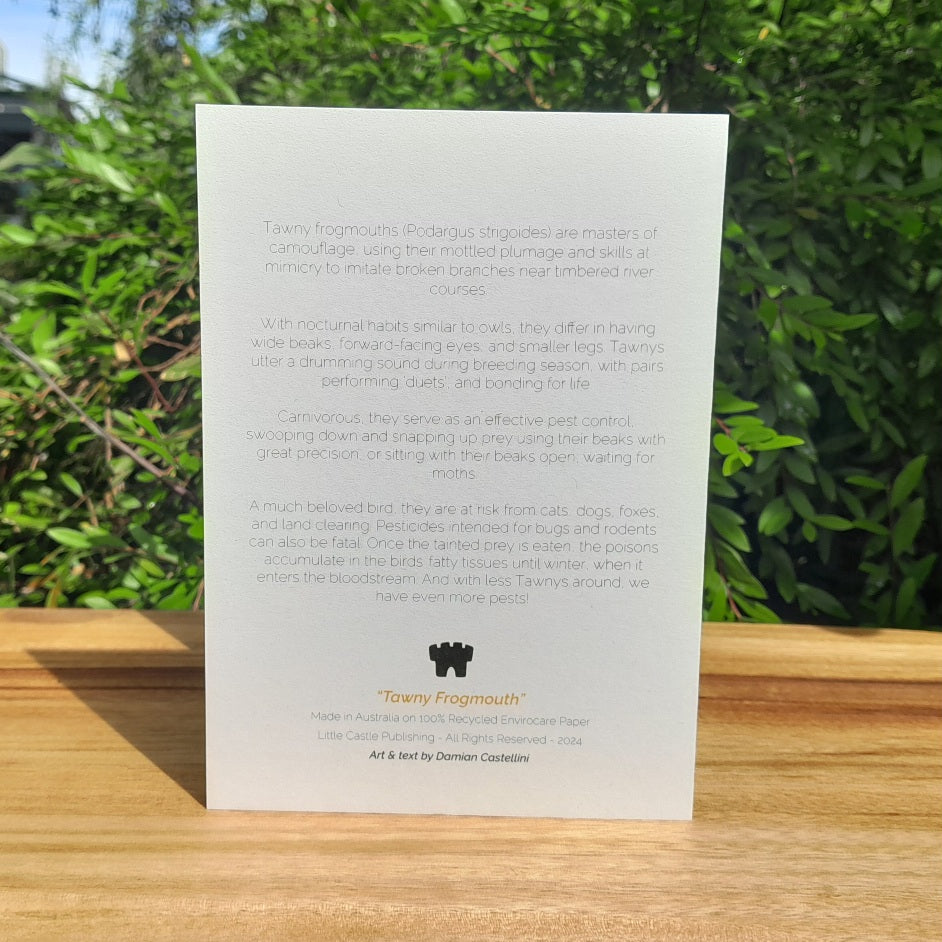 Tawny frogmouth - Eco-friendly greeting card