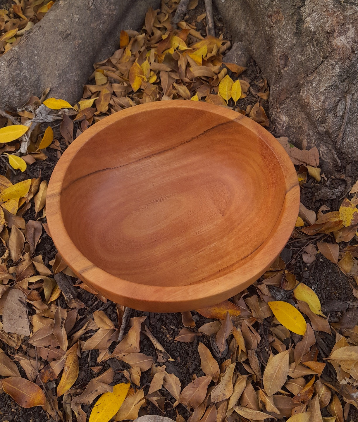 Spotted gum green-turned wooden bowl