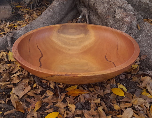 Communal spotted gum green-turned wooden bowl