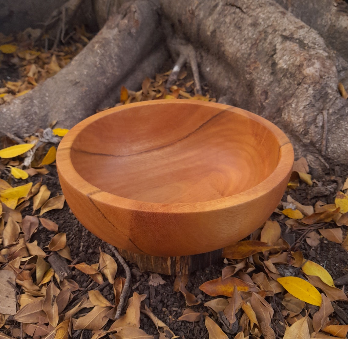 Spotted gum green-turned wooden bowl
