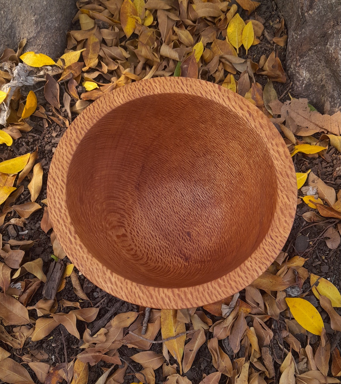 Silky oak wooden eating bowl