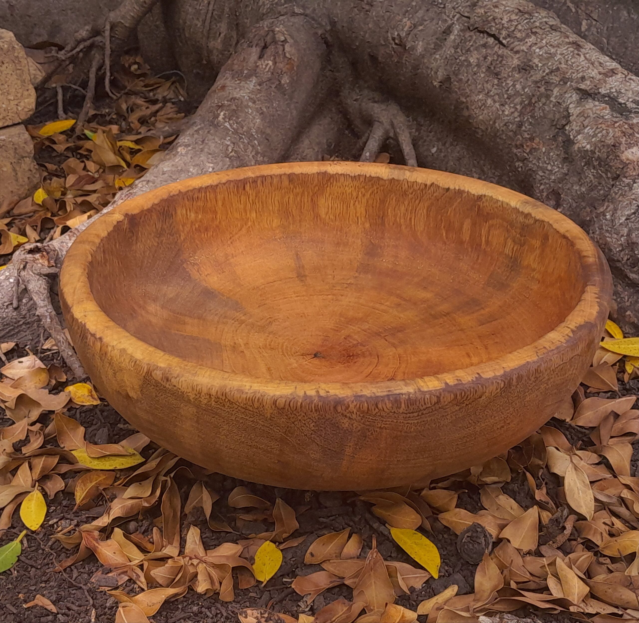 Spalted Mango Wooden Bowl