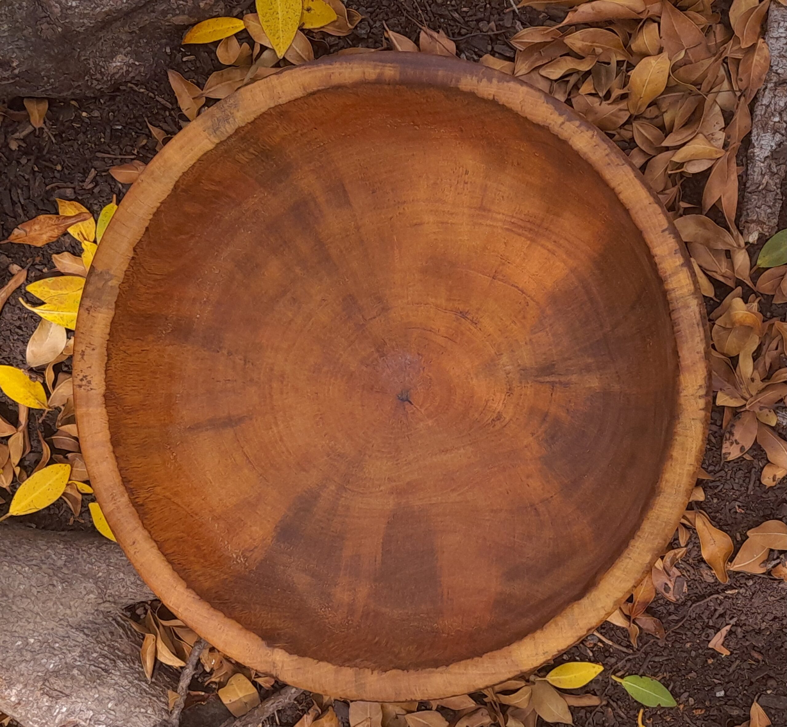 Spalted Mango Wooden Bowl - Image 2