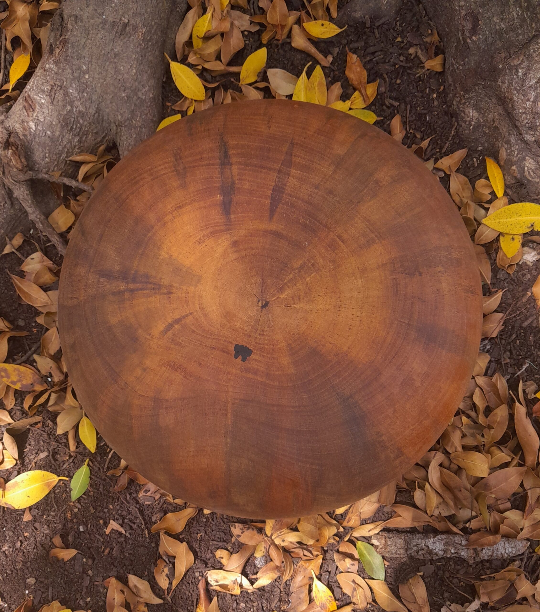 Spalted Mango Wooden Bowl - Image 3